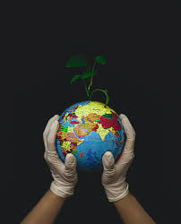 Eco Aware Youth Logo
